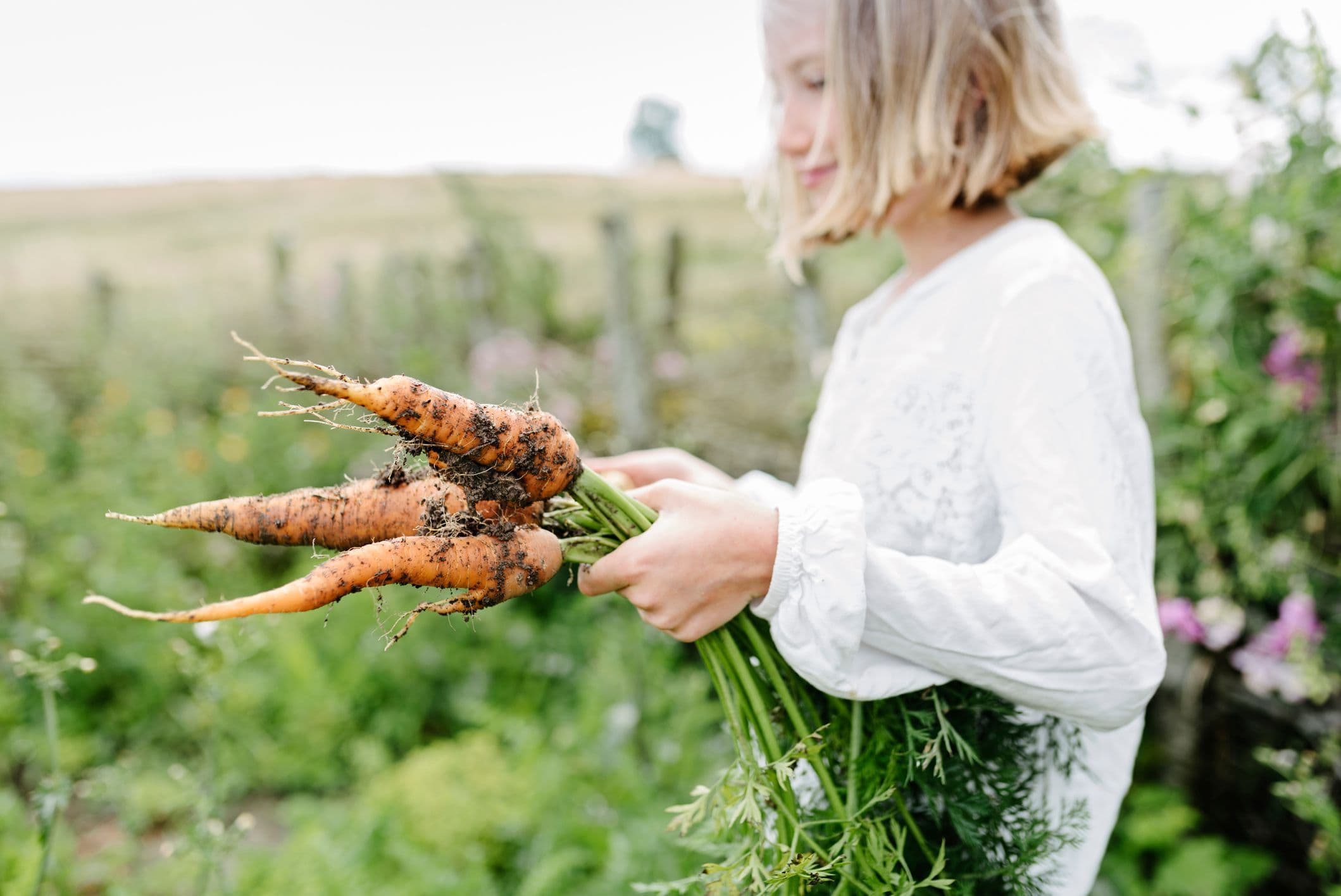 Kid holding carrots